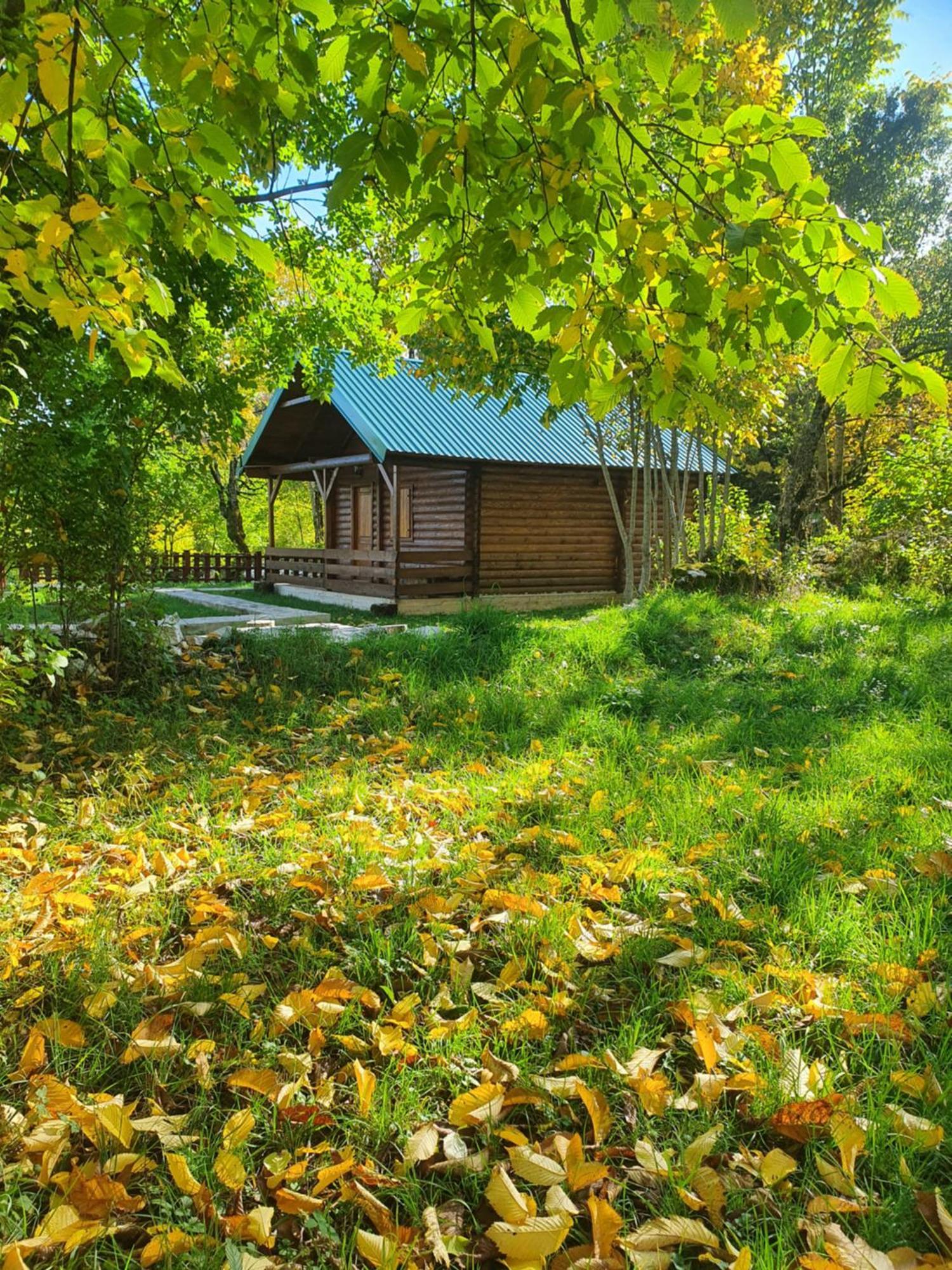 Cabin House Dubovik Cetinje Esterno foto