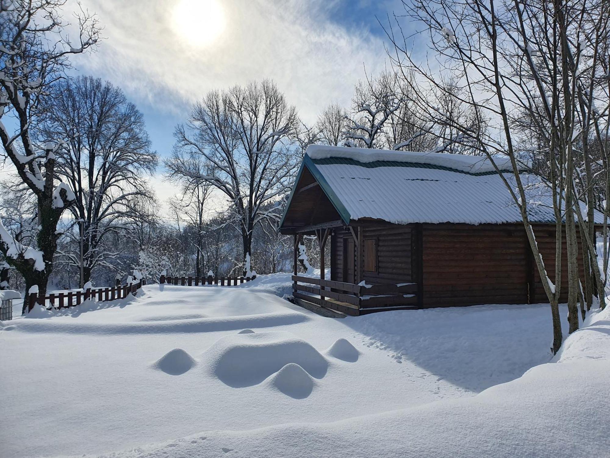 Cabin House Dubovik Cetinje Esterno foto